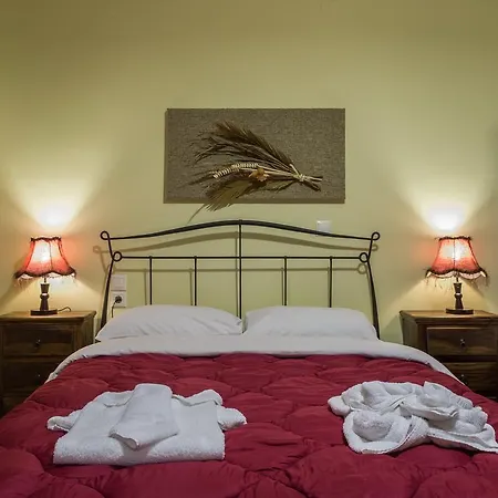 Hotel Xenonas Sta Tzakia 3*